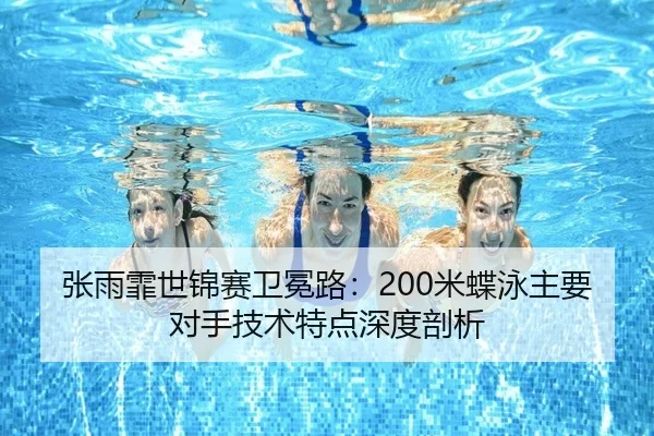 zhang-yu-fei-shi-jin-sai-wei-mian-lu-mi-die-yong-zhu-yao-dui-shou-ji-shu-te-dian-shen-du-pou-xi-3-730.jpg